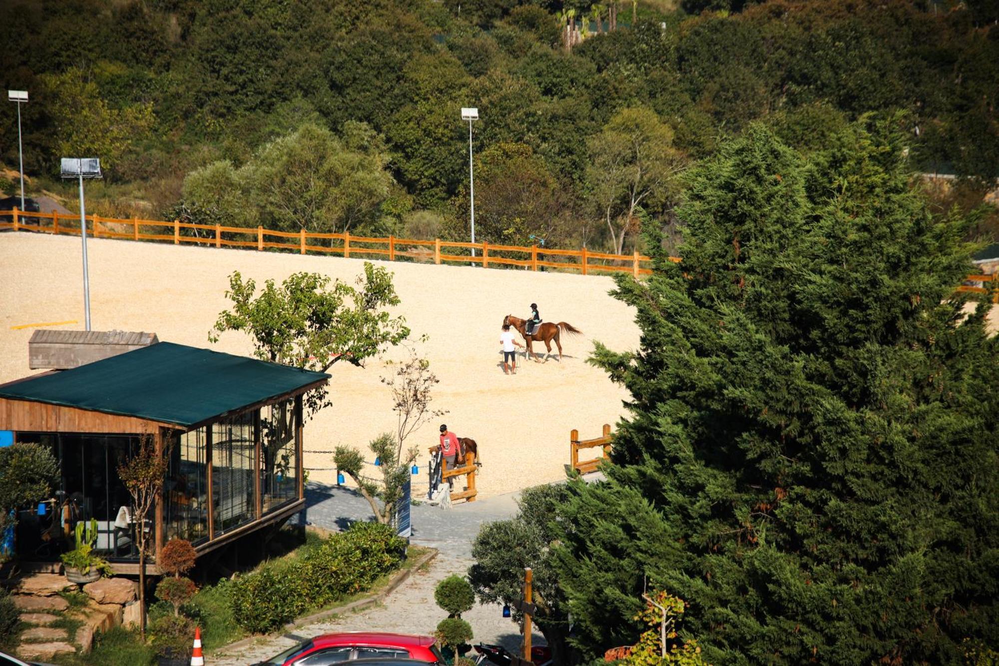 Mavi At Hotel Blue Horse Gumusdere Exterior foto